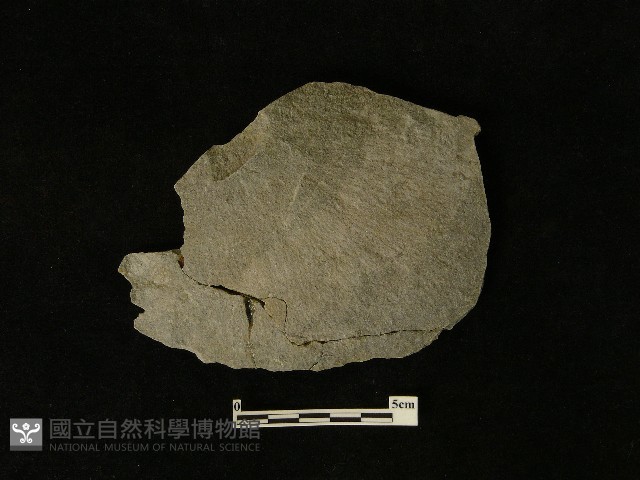 石片器藏品圖，第1張