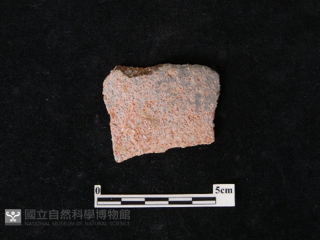 陶片藏品圖，第1張