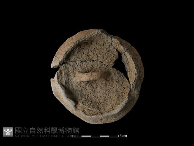陶蓋藏品圖，第1張