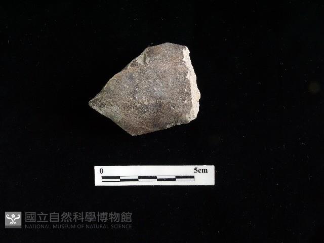 陶片藏品圖，第1張