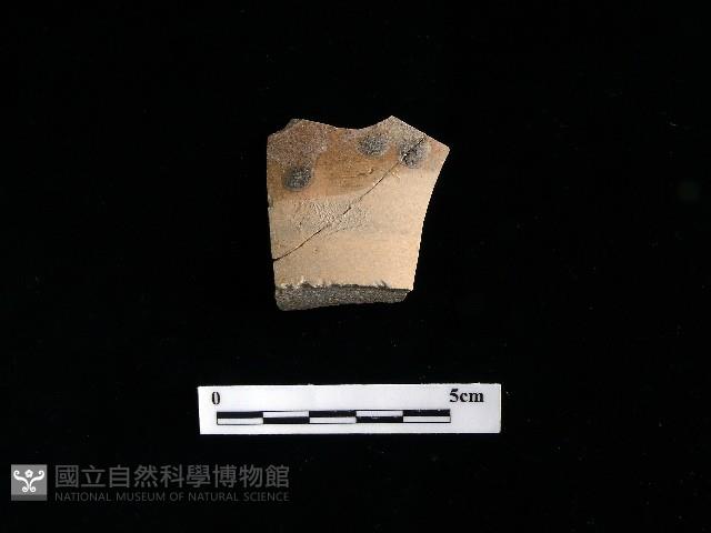 陶片藏品圖，第2張