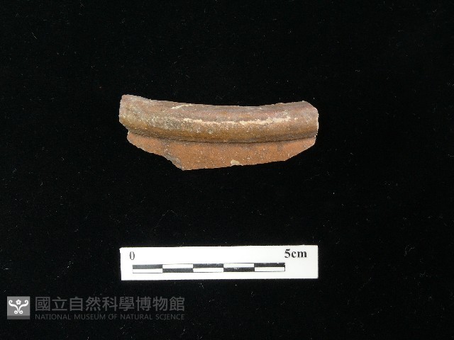 陶片藏品圖，第2張