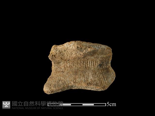 陶罐藏品圖，第1張