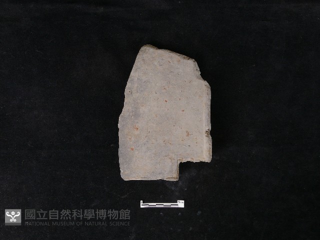 瓦片藏品圖，第1張