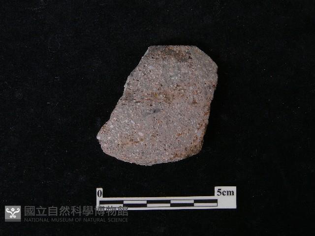 陶片藏品圖，第2張