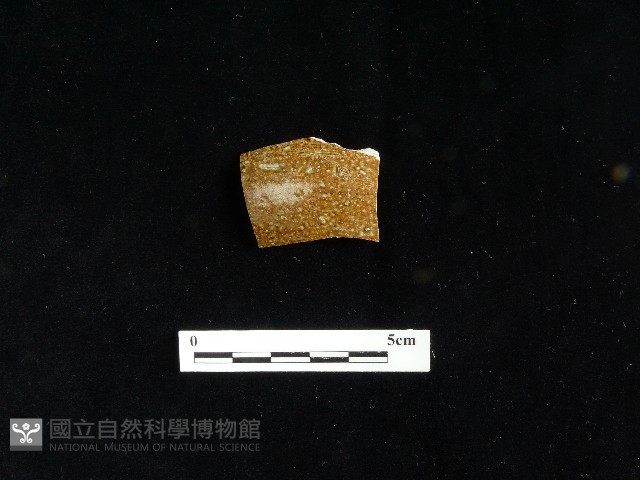 陶片藏品圖，第2張