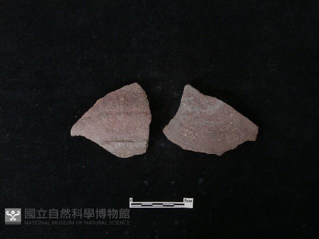 陶片藏品圖，第1張