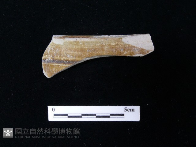 陶片藏品圖，第1張