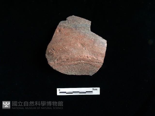 陶片藏品圖，第1張