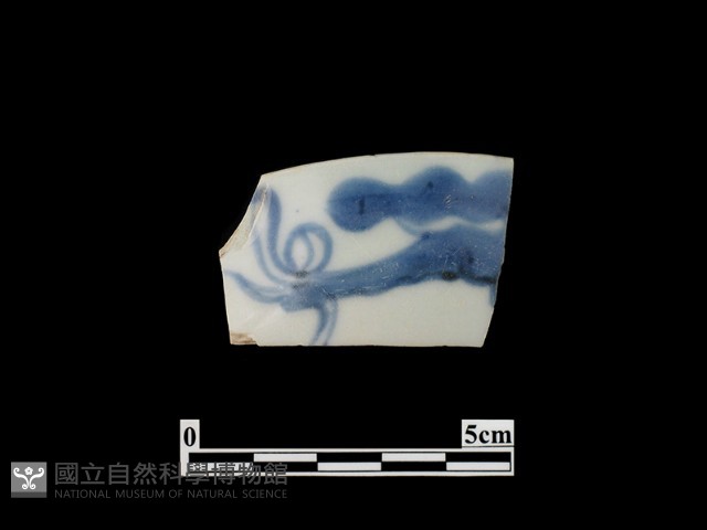 帶紋飾瓷片藏品圖，第1張