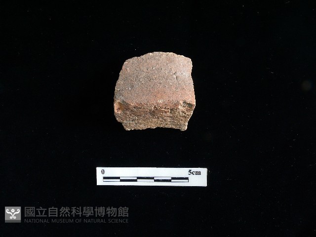 陶片藏品圖，第2張