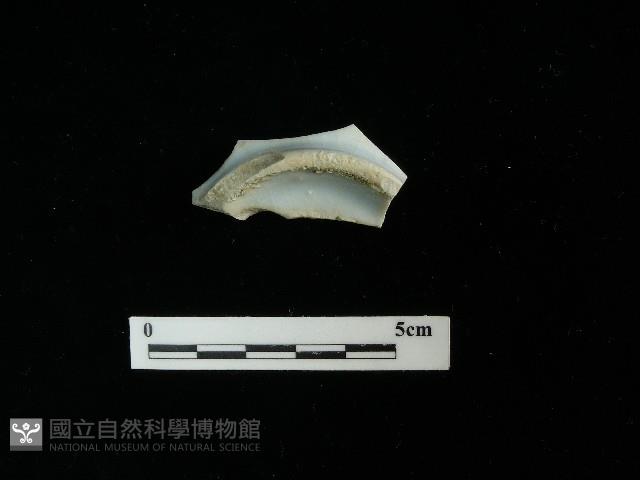 瓷片藏品圖，第1張