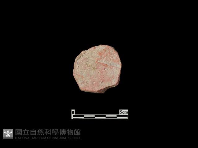 玩具藏品圖，第2張