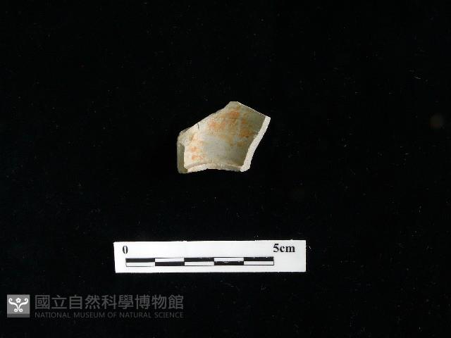 陶片藏品圖，第2張