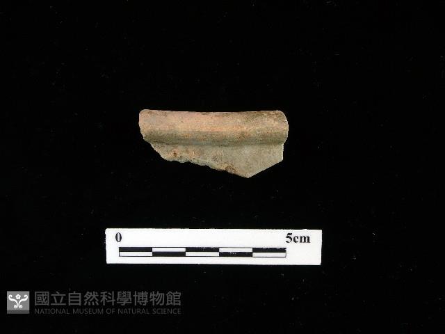 陶片藏品圖，第1張