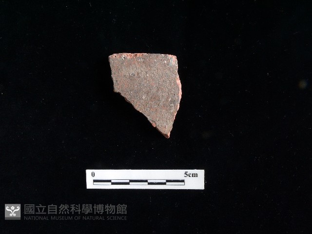 陶片藏品圖，第2張