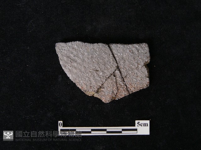 陶片藏品圖，第2張