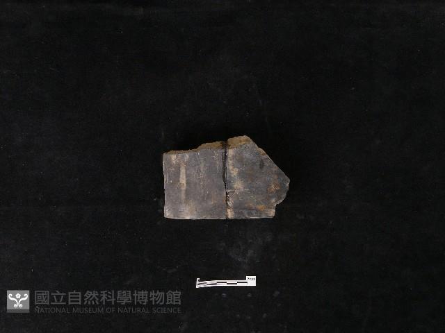 瓦片藏品圖，第2張