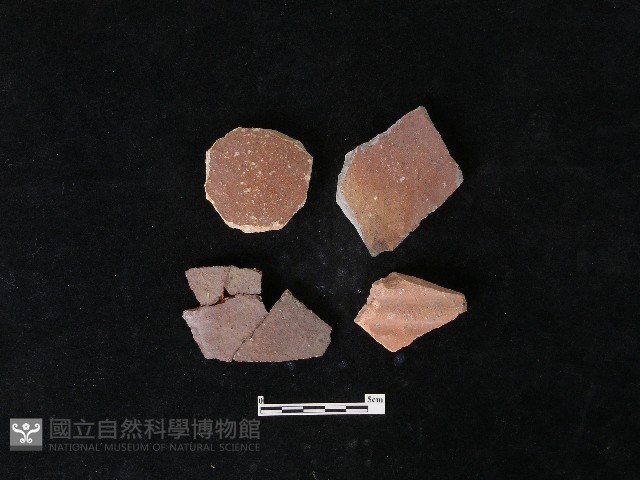 陶片藏品圖，第2張