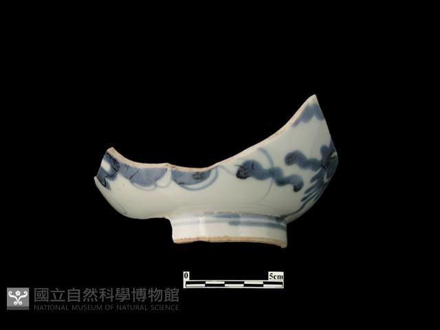 Accession Number:PTT-DE133 Collection Image