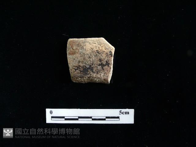 硬陶蓋藏品圖，第2張