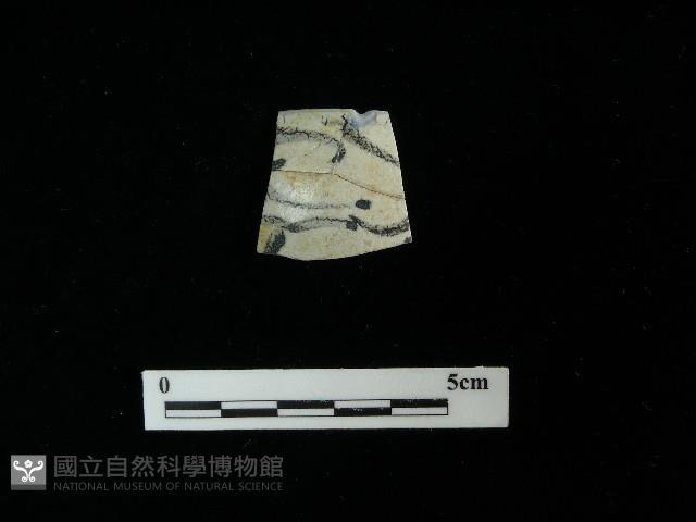 瓷片藏品圖，第1張