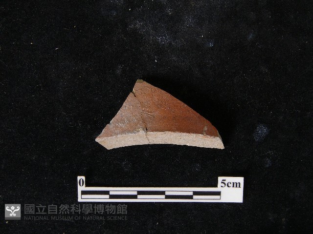 陶片藏品圖，第2張