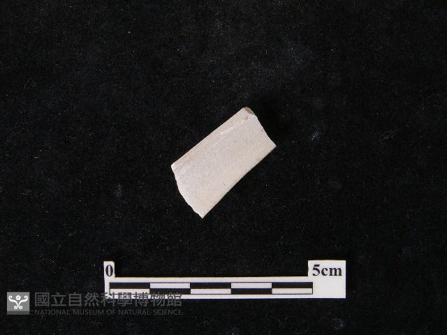 湯匙藏品圖，第1張