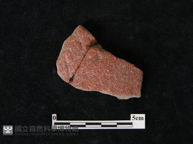 陶片藏品圖，第1張