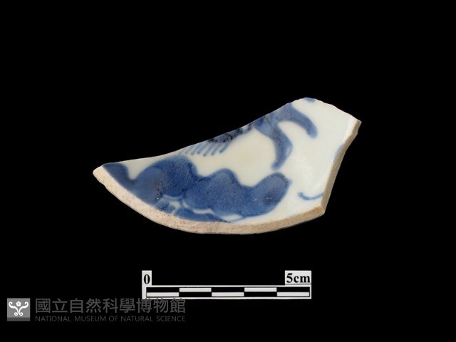 帶紋飾瓷片藏品圖，第1張