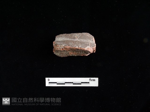 陶片藏品圖，第1張