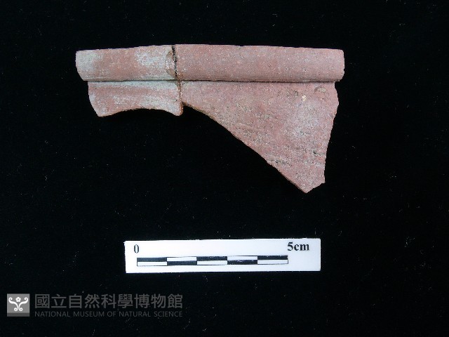 陶片藏品圖，第2張