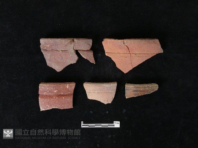 陶片藏品圖，第1張