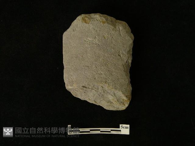 磨製斧鋤形器藏品圖，第2張