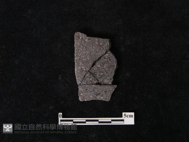 陶片藏品圖，第2張