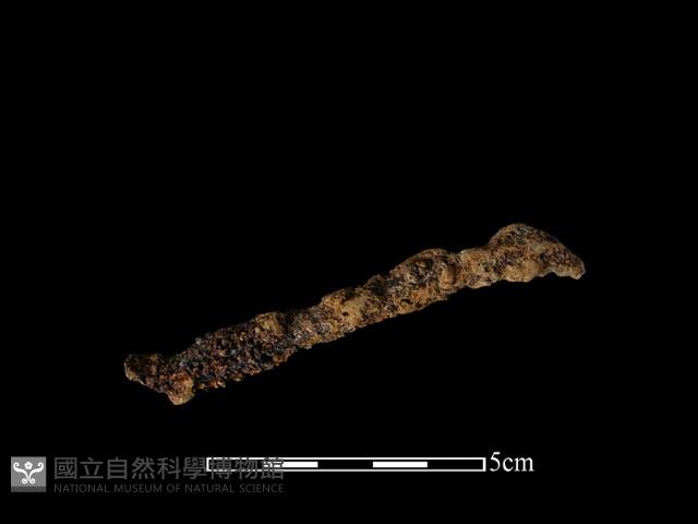 鐵條藏品圖，第1張