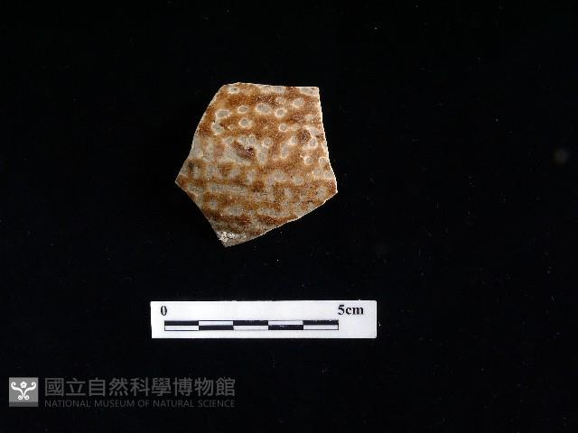 陶片藏品圖，第1張