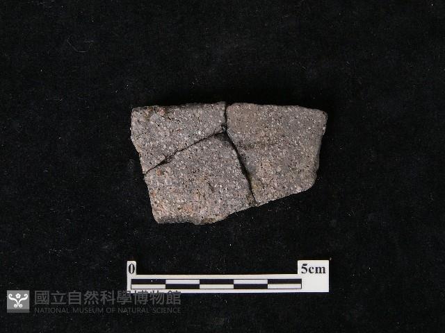 陶片藏品圖，第1張