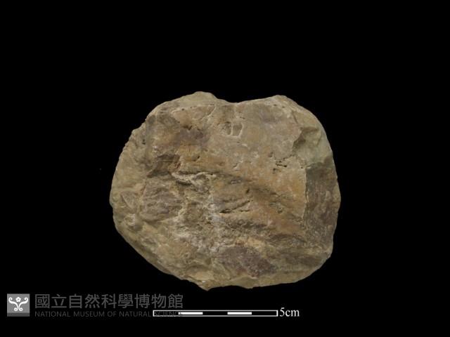 石球藏品圖，第2張