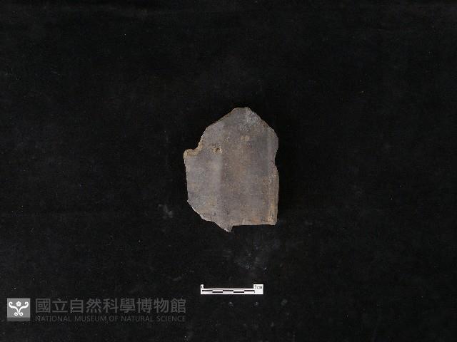 瓦片藏品圖，第1張