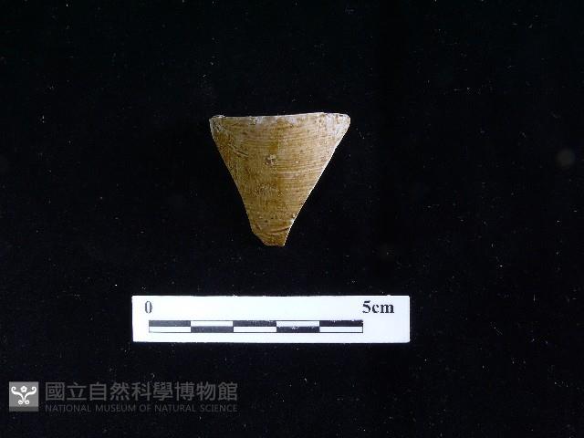 壺嘴藏品圖，第2張