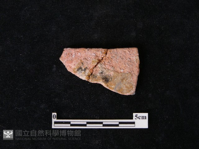 陶片藏品圖，第1張