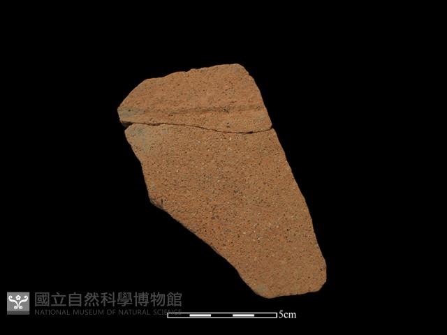 陶片藏品圖，第2張