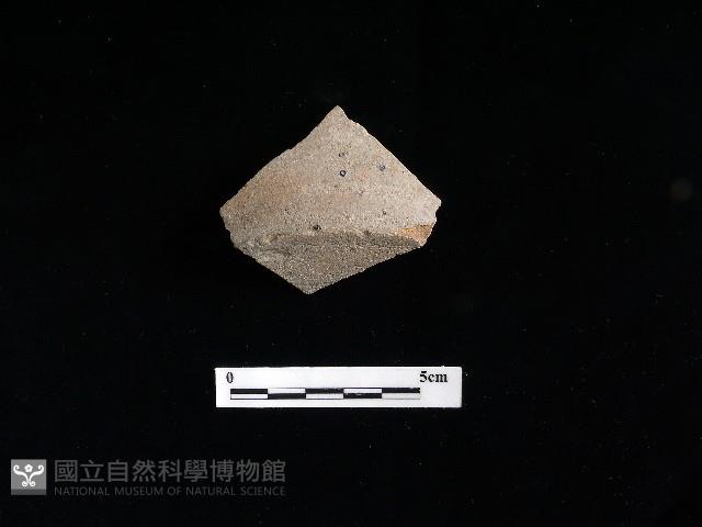 陶片藏品圖，第1張