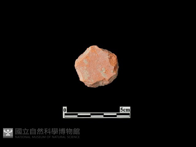 玩具藏品圖，第1張