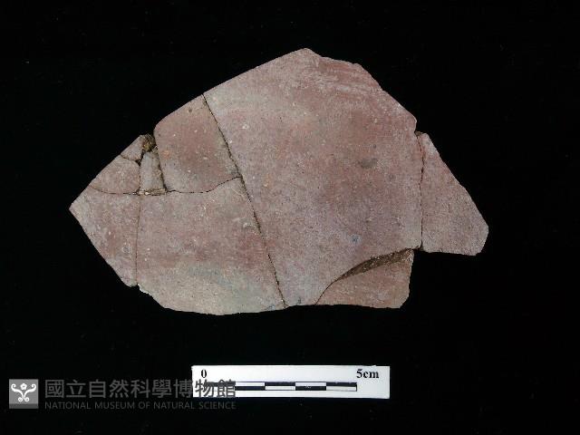 陶片藏品圖，第1張