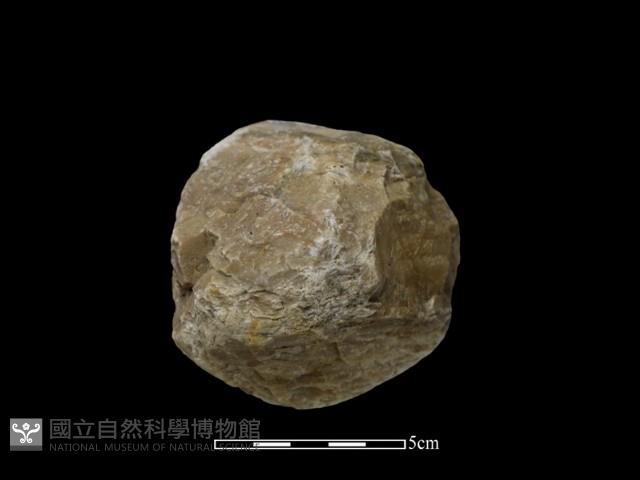 石球藏品圖，第2張