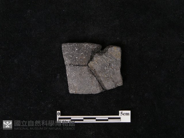陶片藏品圖，第1張