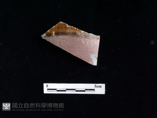 陶片藏品圖，第1張