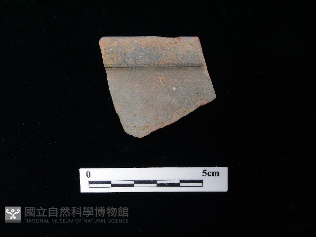 陶片藏品圖，第1張